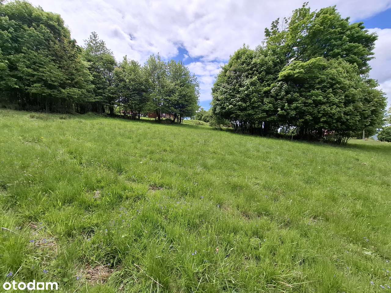 Widokowa działka w Koszarawie-5