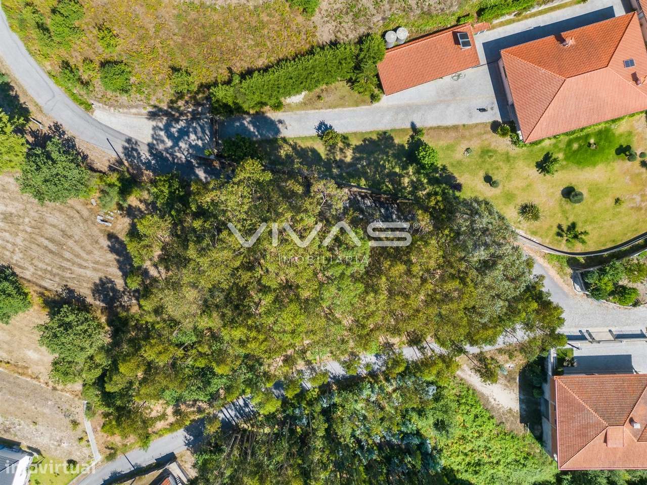 Terreno Para Construção  Venda em Vade,Vila Verde-14