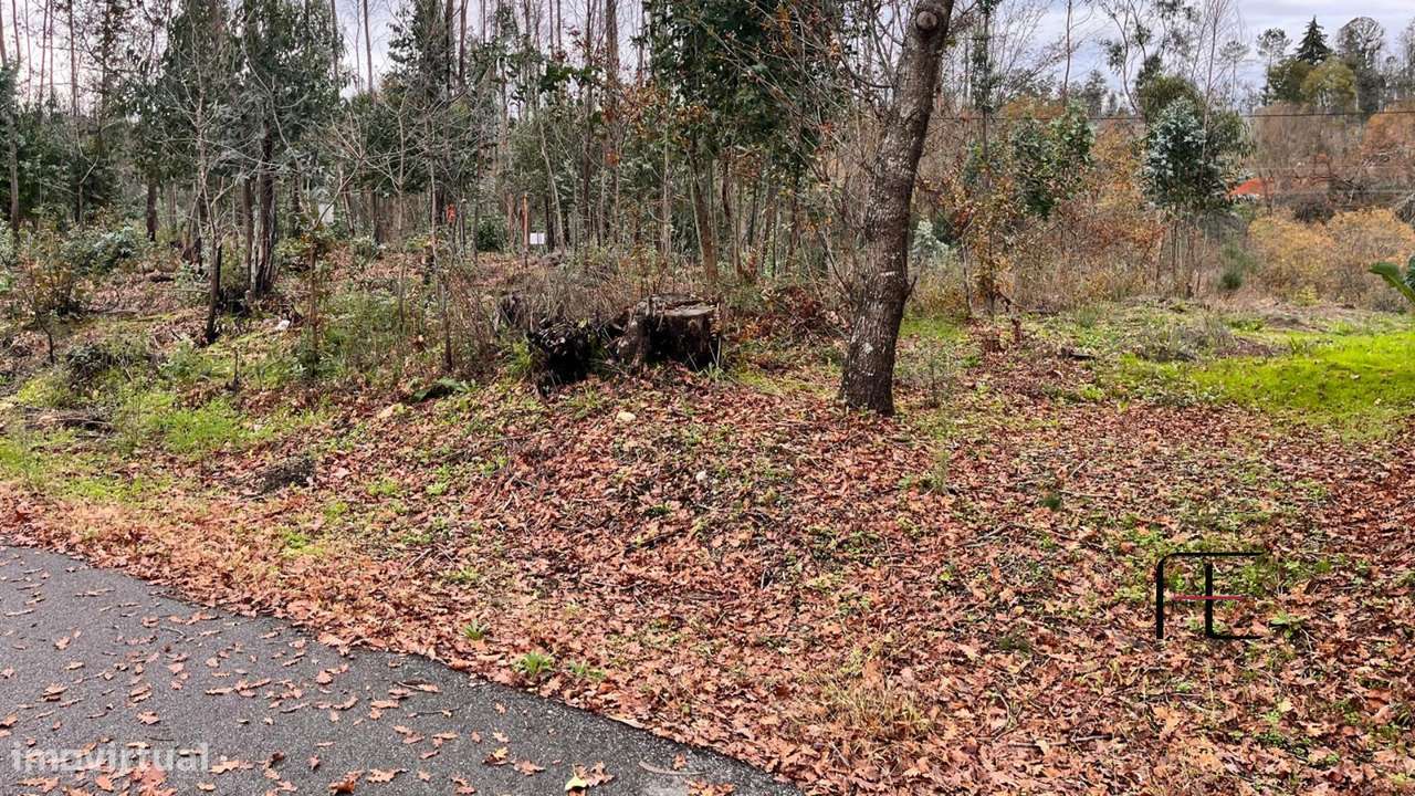 Terreno Para Construção  Venda em Macinhata do Vouga,Águeda - Grande imagem: 5/5