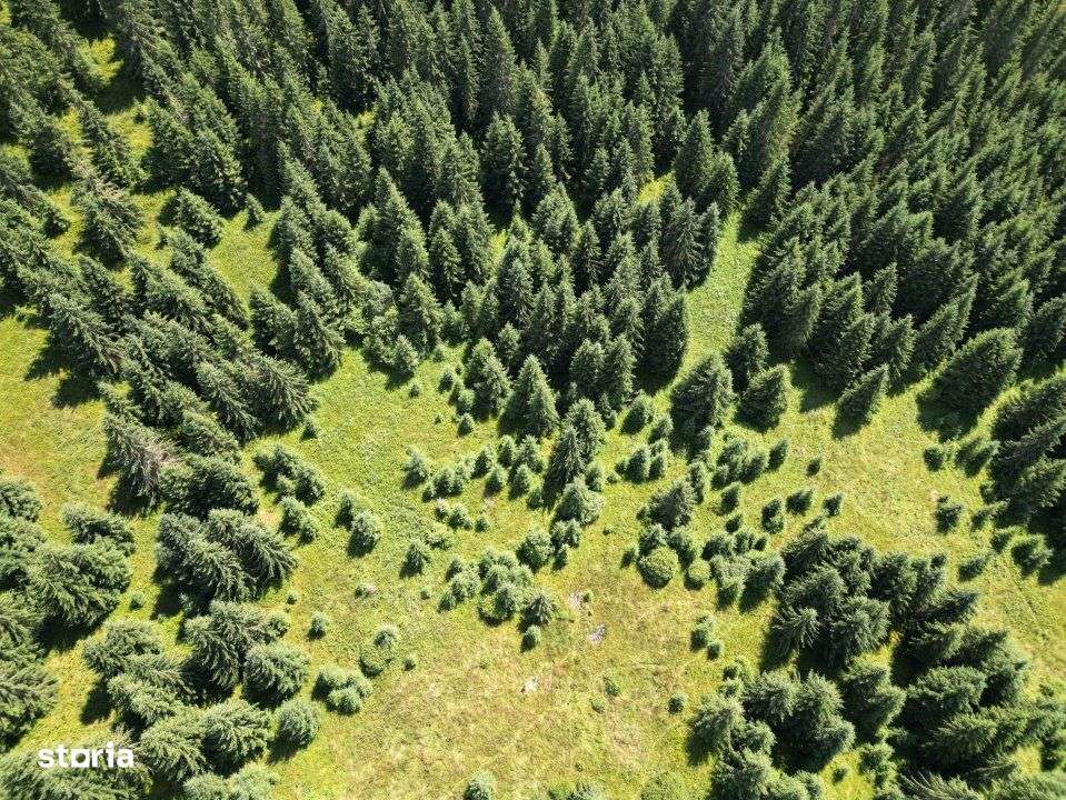 De vanzare teren Extravilan(faneata)-Belis,Cluj-1