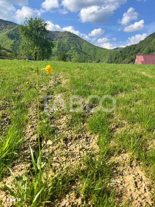 Teren 1059 mp in Raul Sadului– Natura  liniste si investitie - Imagine principală: 5/5