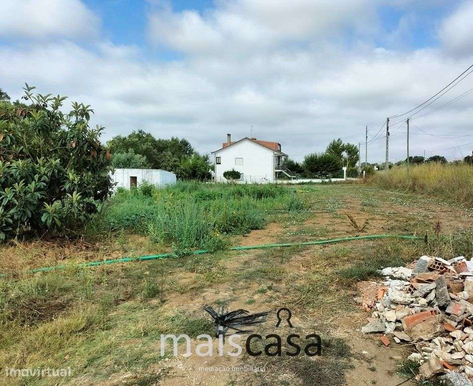 Moradia T3 com Tanque, Terreno e Linha de Água-21