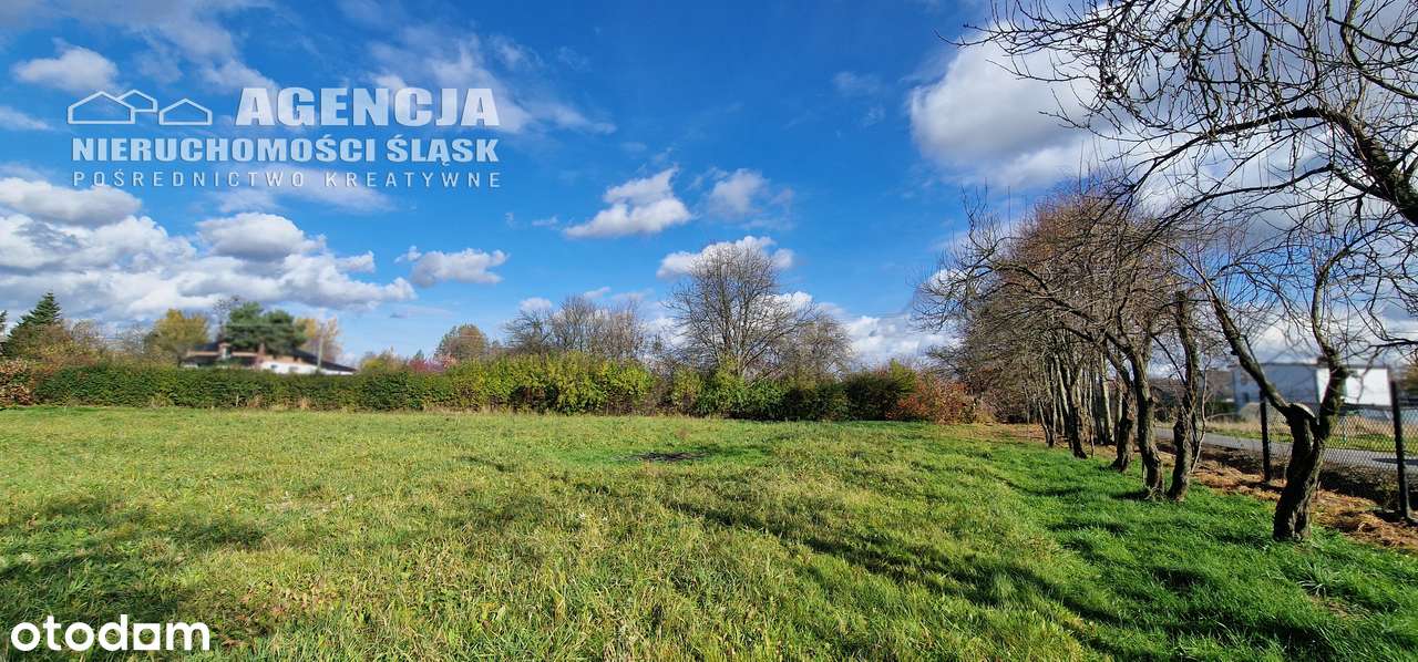 Działka, 810 m², Międzyrzecze Górne-2