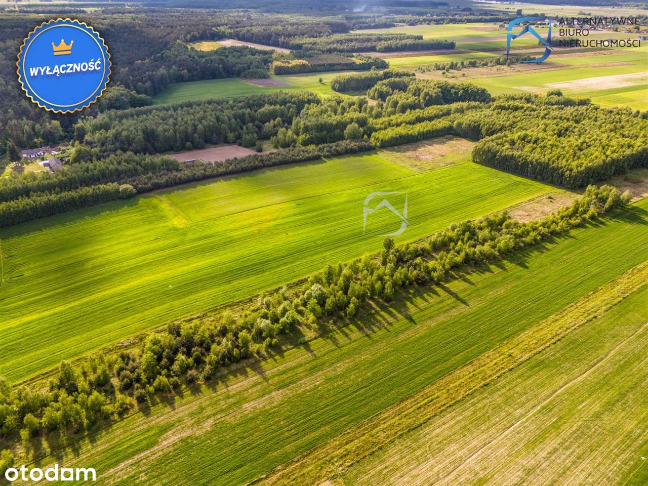Działki rolne blisko lasu - Tarło G. Niedźwiada - Pełny obrazek: 4/14