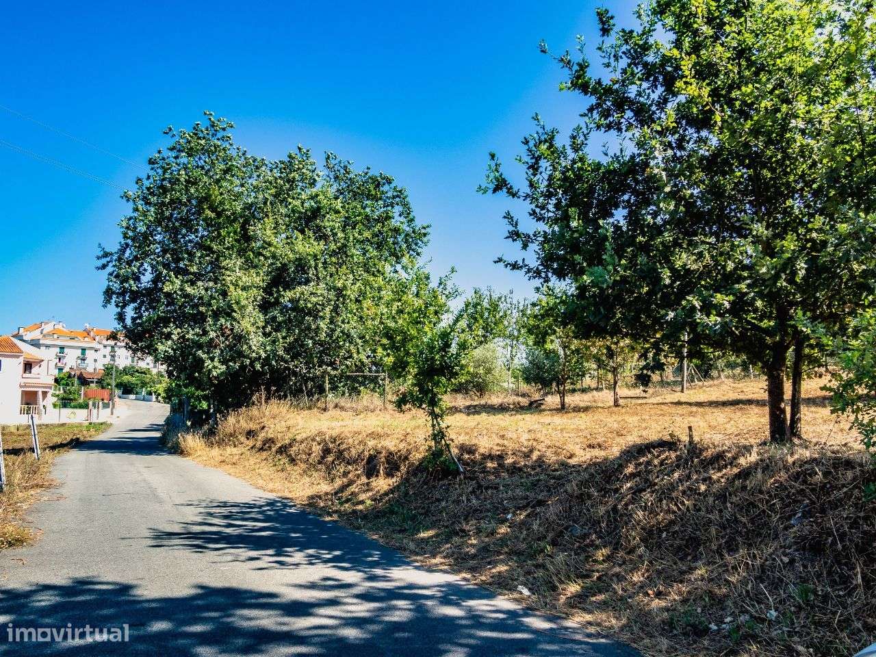 Terreno para construção de moradia isolada, Oiã, Oliveira do Bairro - Grande imagem: 4/11