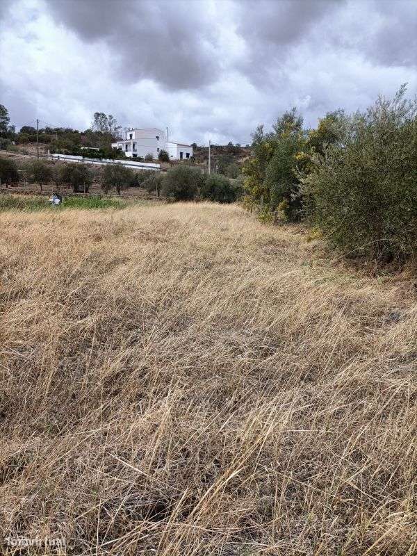 Terreno  para venda - Grande imagem: 5/6