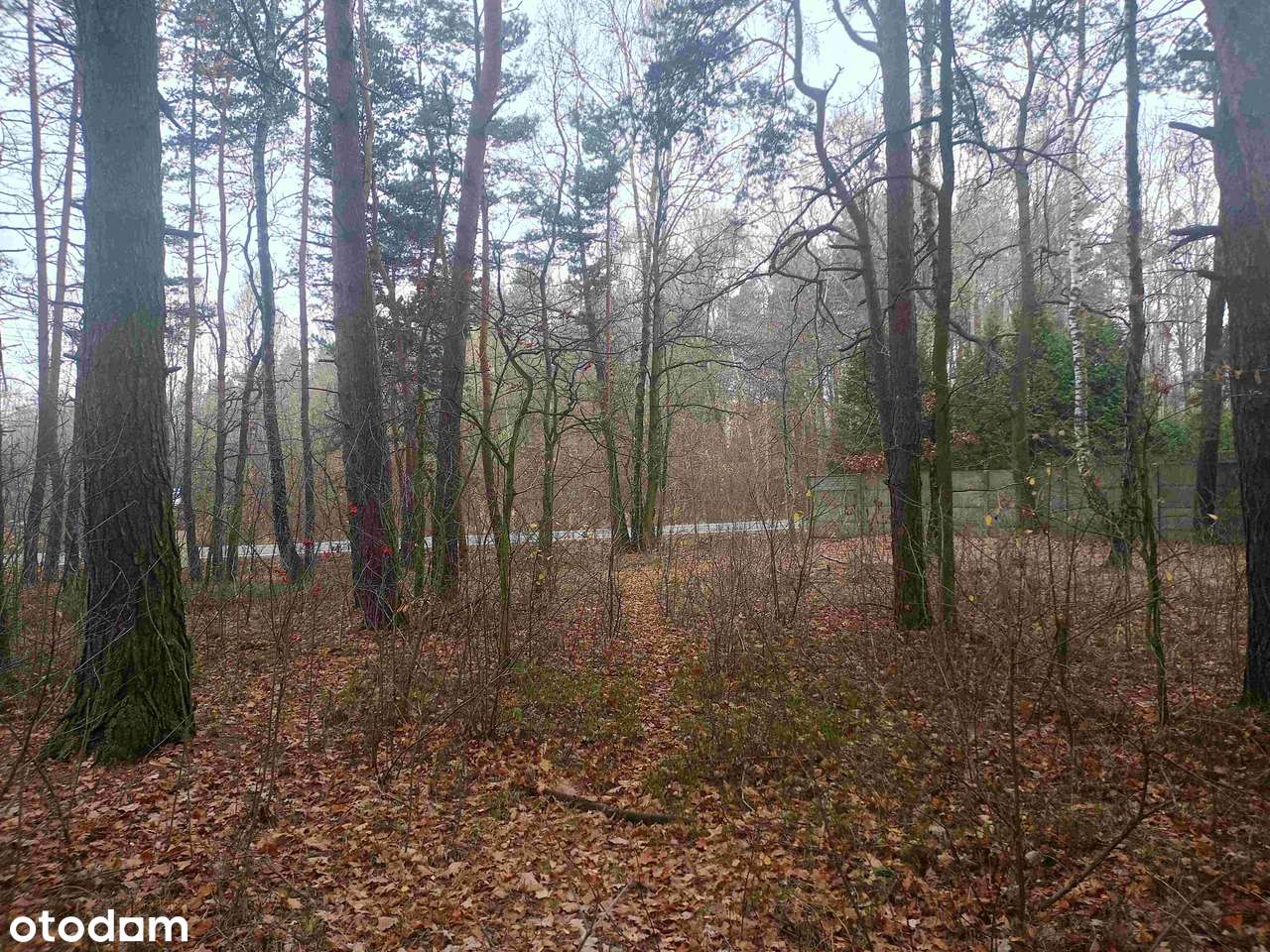 Działka usługowo-budowlana z przeznaczeniem na parking lub budowę domu-14