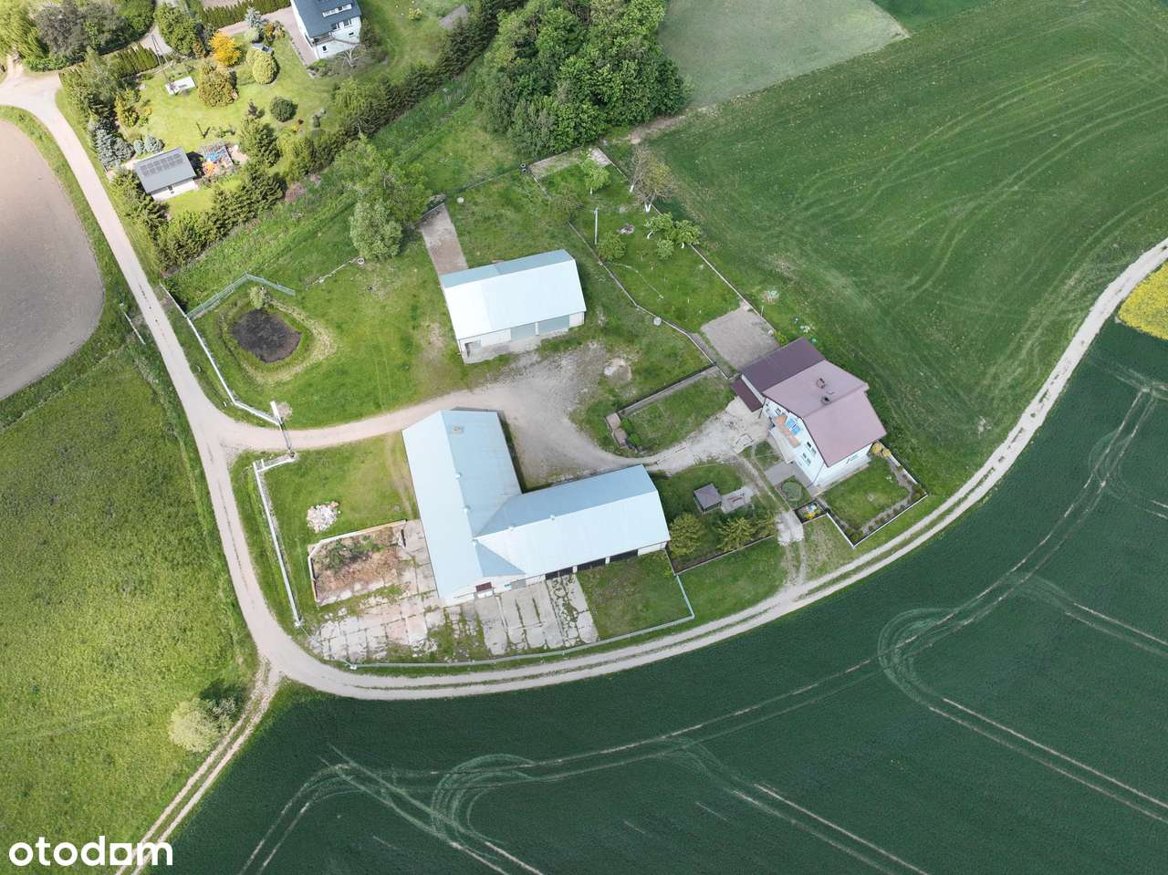 Budynki |Usługi, Magazyn, Produkcja | Duża działka | Sprzedaż-8