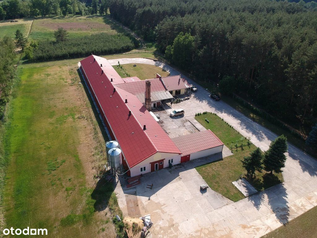 Hala/Magazyn, 14 600 m², Santoczno