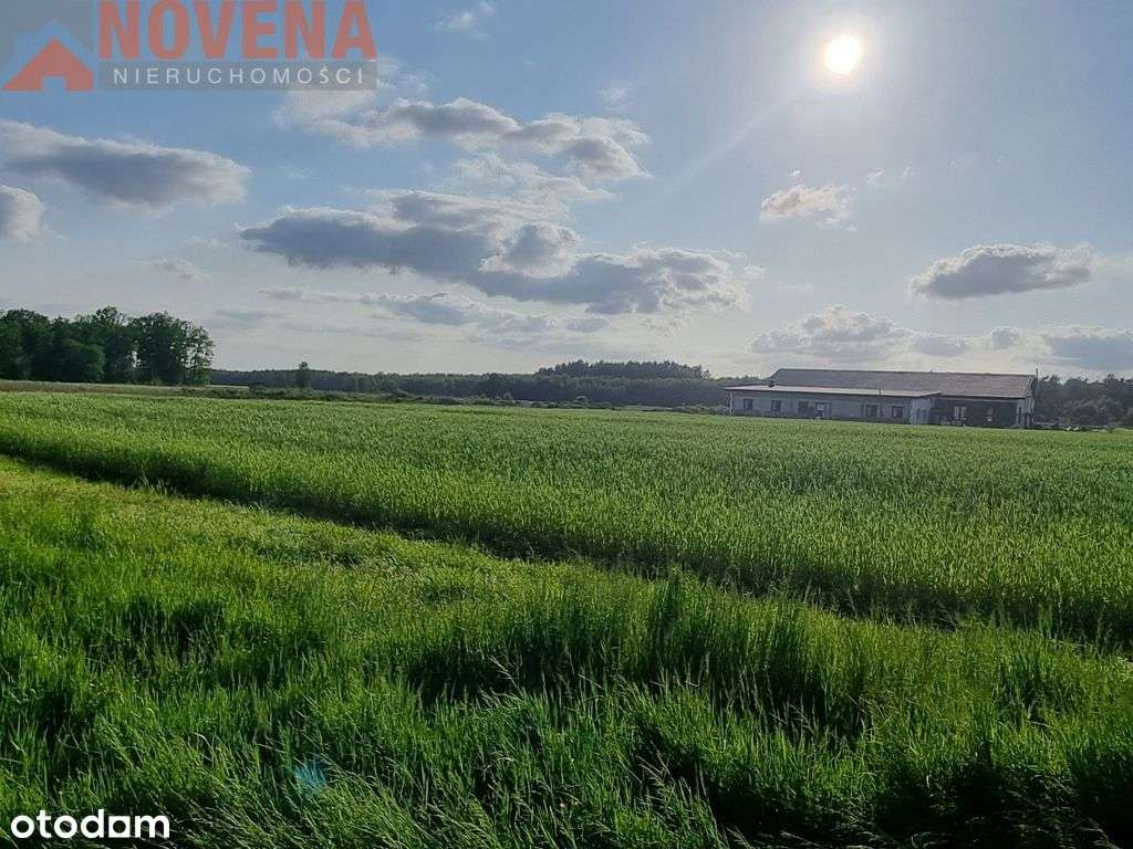 Teren aktywności gospodarczej/Mpzp - Pełny obrazek: 4/6