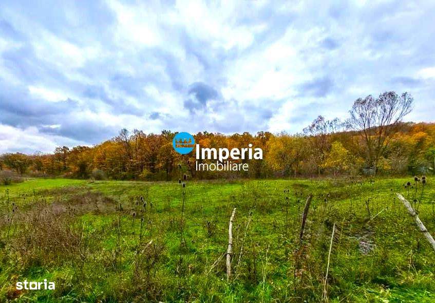 Teren la Padure in Poiana cu Cetate,  9500 mp - Imagine principală: 1/2