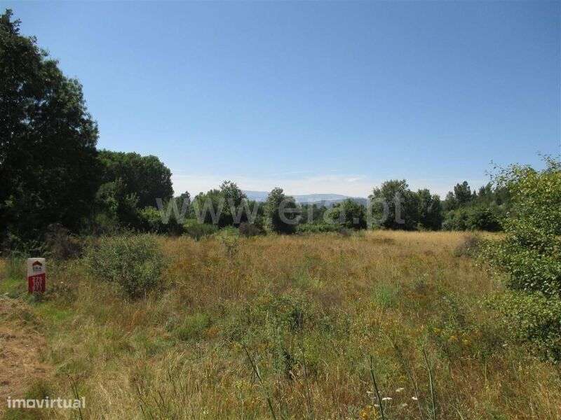 Terreno / Fundão, Enxames - Grande imagem: 1/2