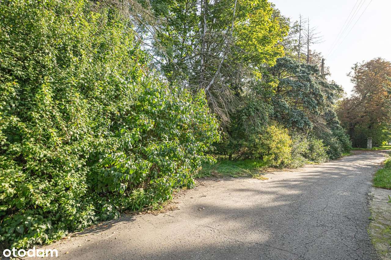 Mieszkanie 150 m2  | Opcja podziału na kilka lokali| - Pełny obrazek: 5/12