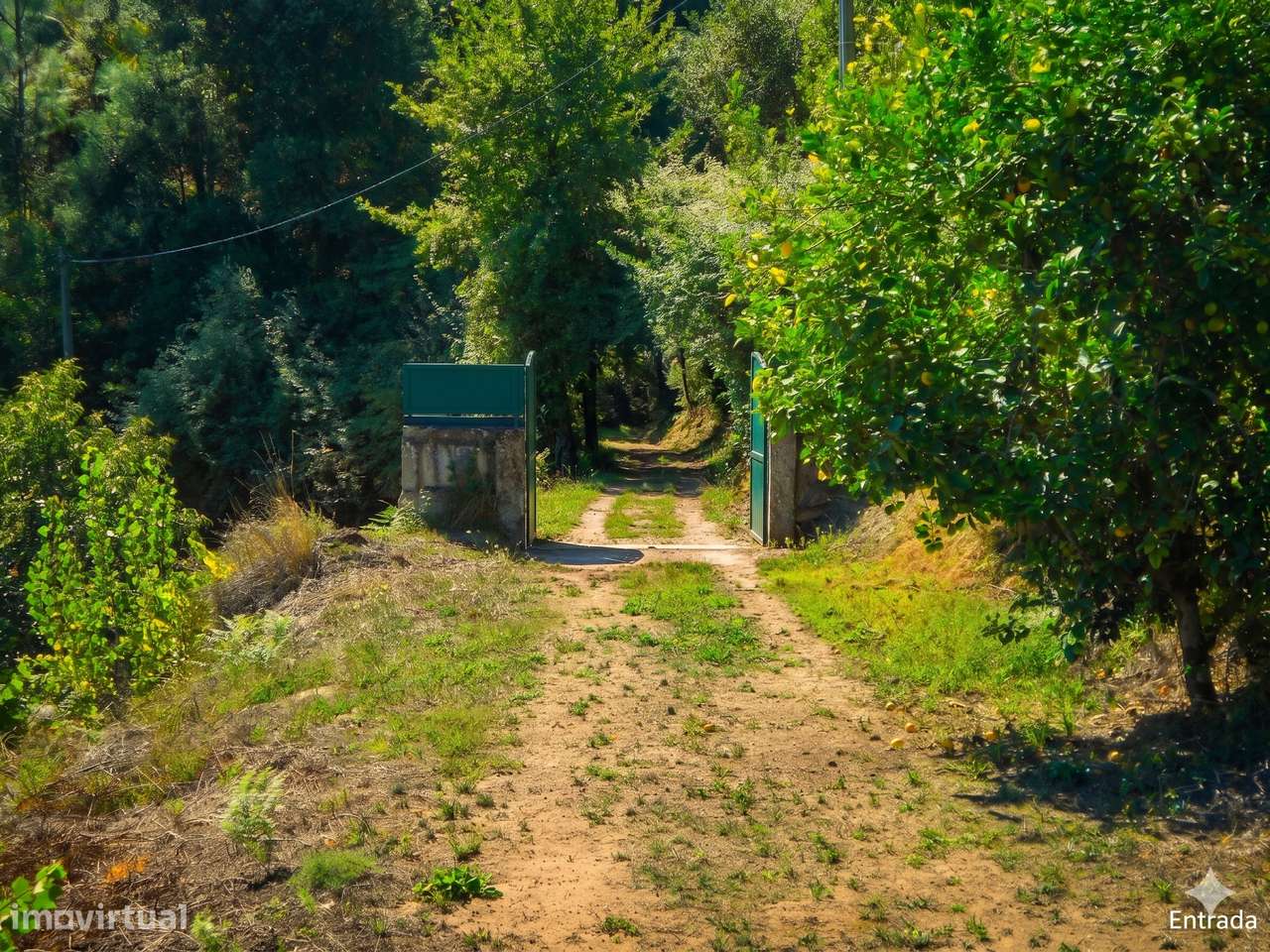 Quinta V4 Rústica Junto Douro | Paços de Gaiolo, Paços de Gaiolo-26