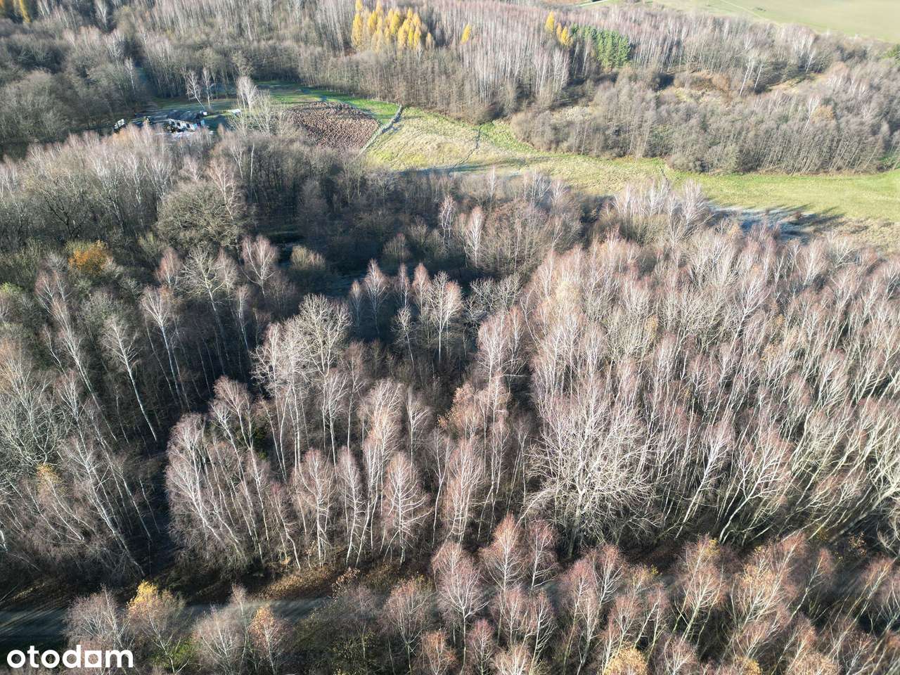 Działka budowlana 3502m², spokojna okolica | Mała (gm. Ropczyce)-7