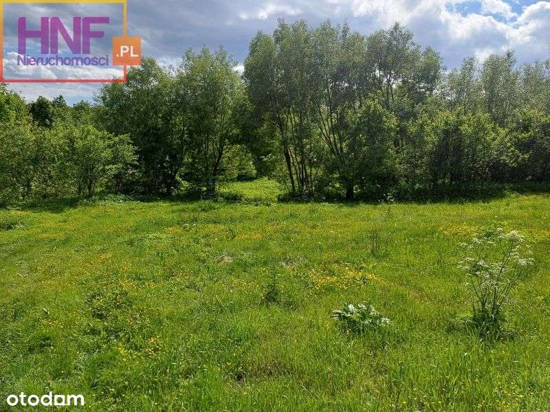 Działka 44ar z drewnianym domem Czarny Potok - Pełny obrazek: 5/19