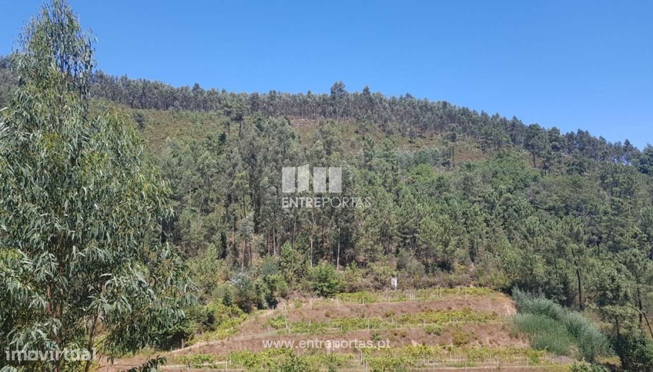 Venda Terreno, Chapa, Amarante - Grande imagem: 3/10