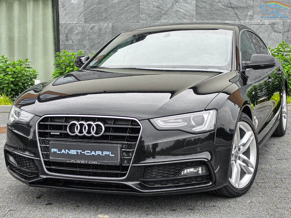 Audi A5 8T 2.0 TDI (clean diesel) quat DPF S tro 2014
