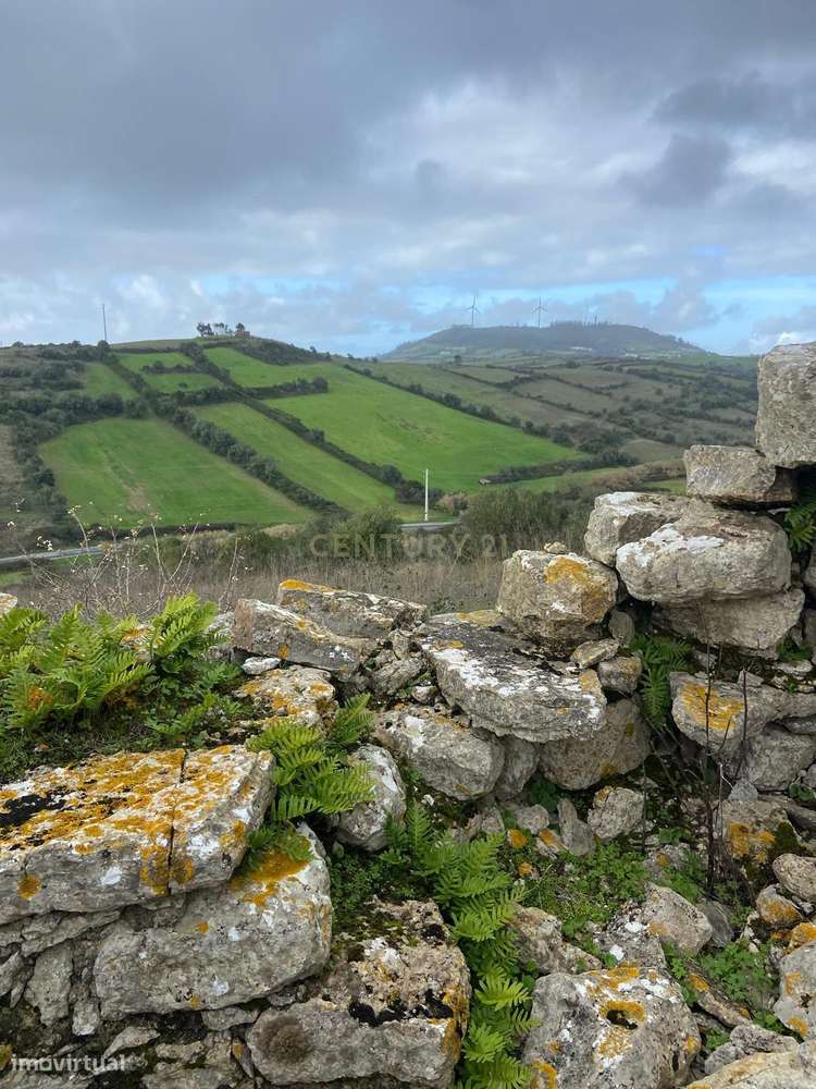 MOINHO TRADICIONAL COM TERRENO RÚSTICO - ST.ESTEVÃO DAS GALÉS-1