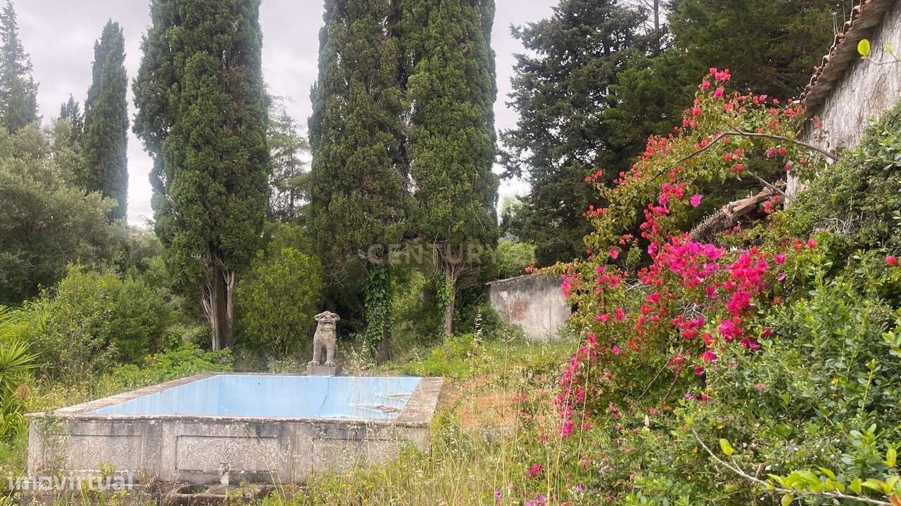 Quinta no Parque Natural da Arrabida-27