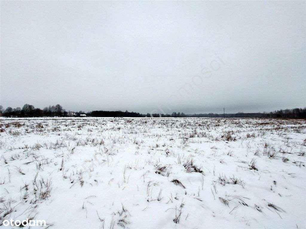 Warunki Zabudowy, Dojazd Asfaltem, Media.-4