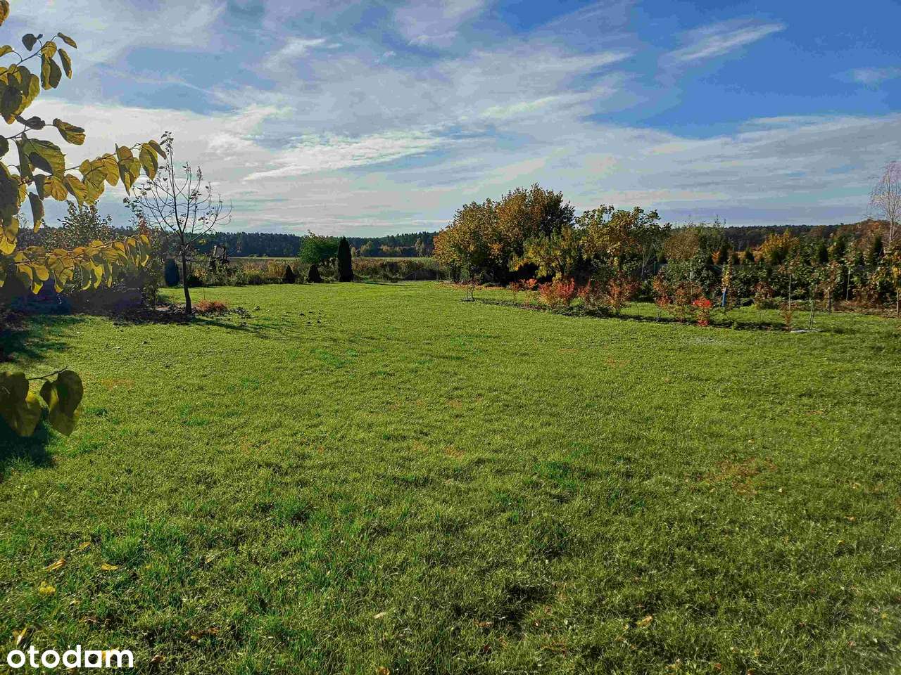 DWA DOMY na dużej działce w Dolinie Baryczy - GOGOŁOWICE - Pełny obrazek: 5/20