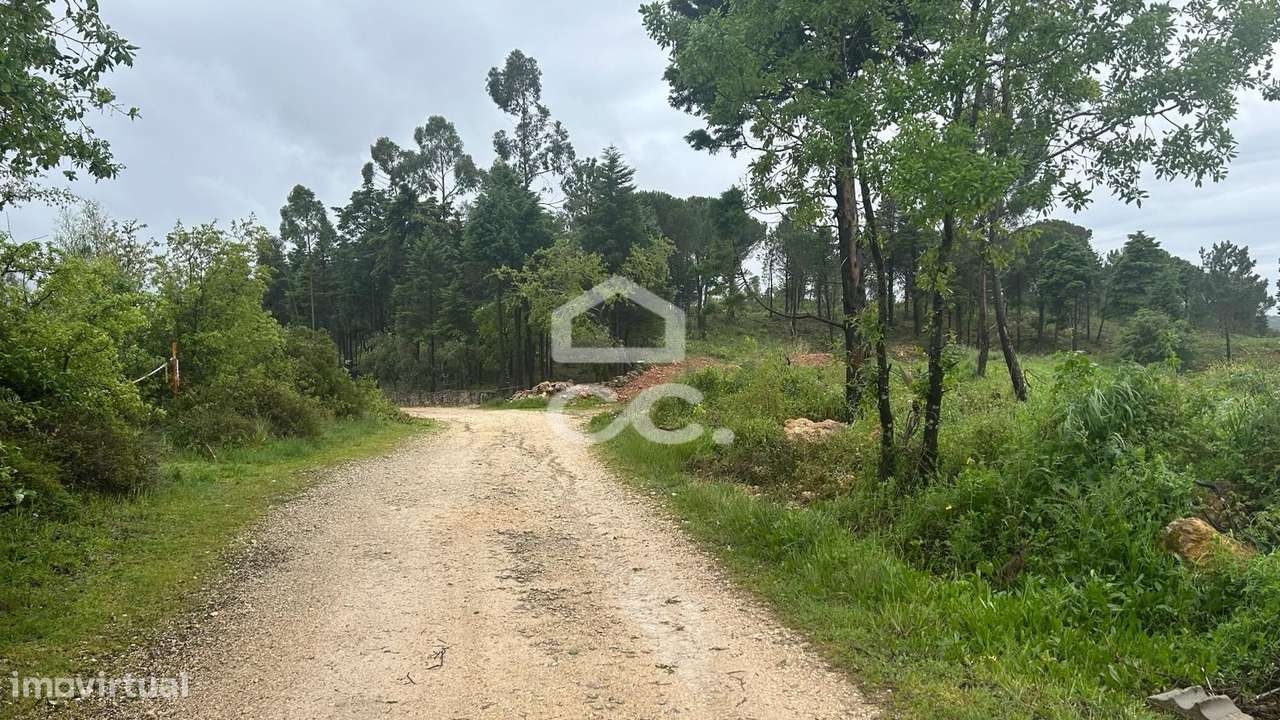 Terreno urbano para construção, com 22.539 m2 junto á IC2, em Antanhol - Grande imagem: 4/12
