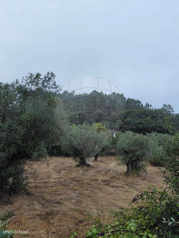 Moradia T3 para venda-30