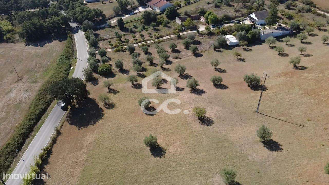 Terreno Rústico com 25.240 m² em Ferras, Gavata, Torres Novas – RAN-25