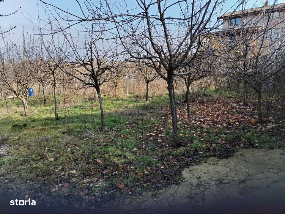 Teren intravilan 609 mp Vidra, deschidere 24 m, ideal pentru construct - Imagine principală: 3/9