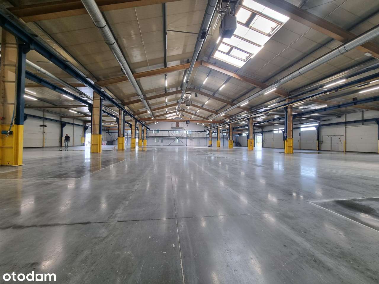 Bezpośrednio. Magazyn do wynajęcia – 2 882 m², Bugaj k. Poznania - Pełny obrazek: 3/7