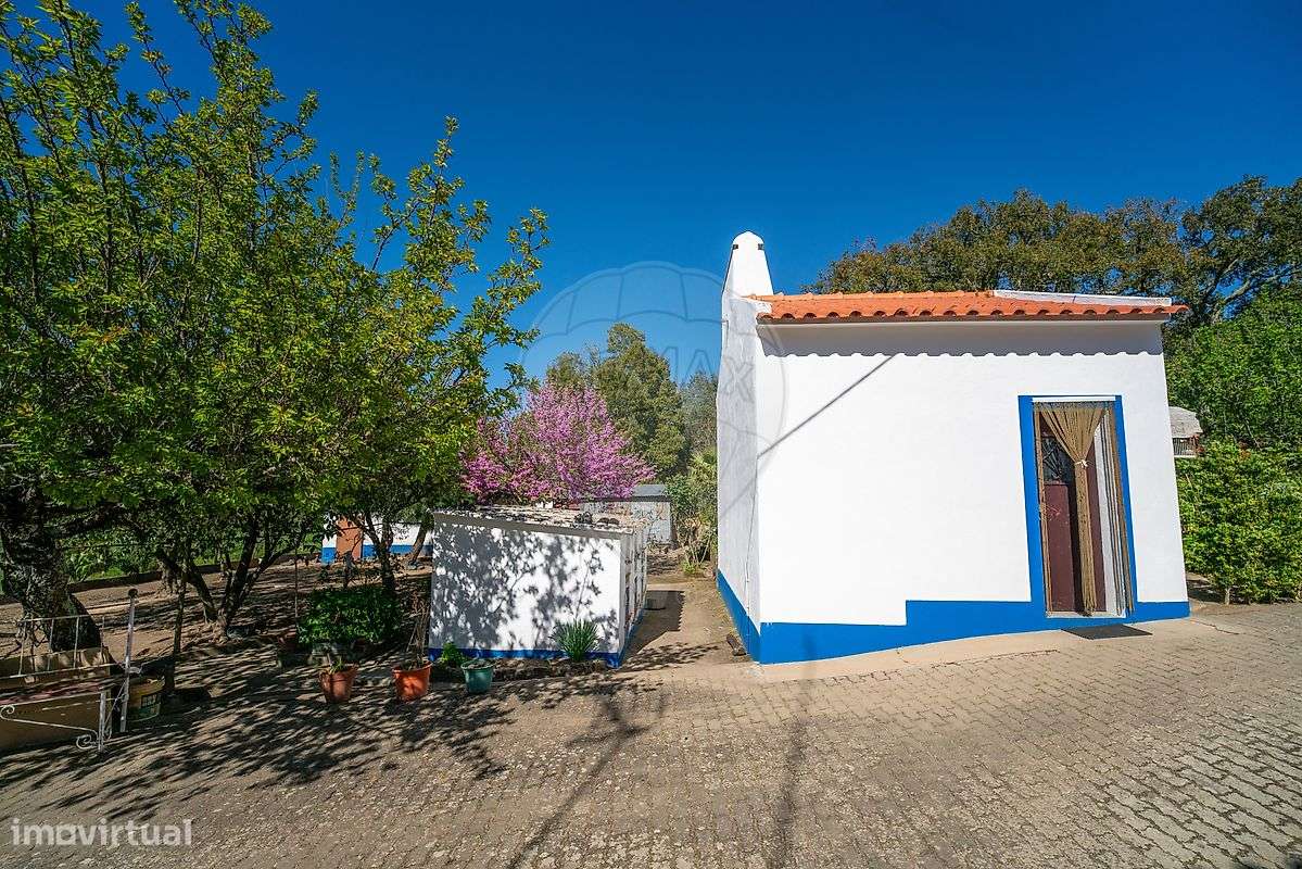 Quinta T6 para venda-15