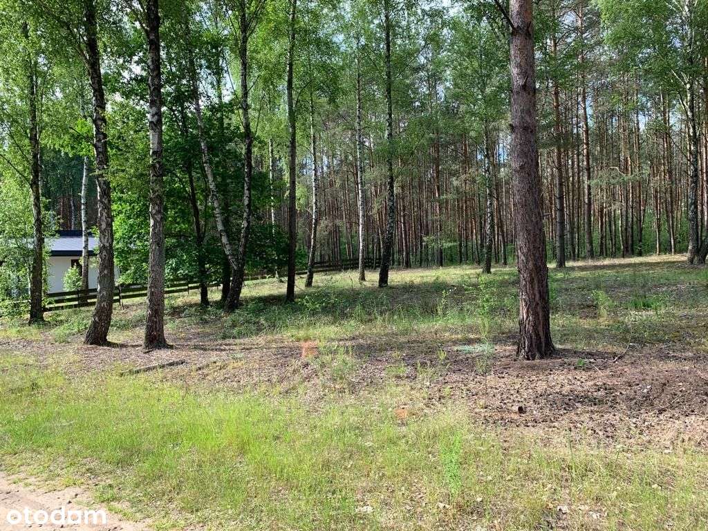 Działka z dostępem do jeziora. Ostrowo/ Powidz - Pełny obrazek: 5/9