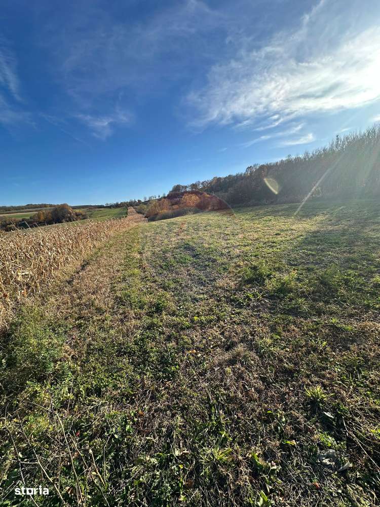 DE VANZARE - teren in ograda - Imagine principală: 4/4