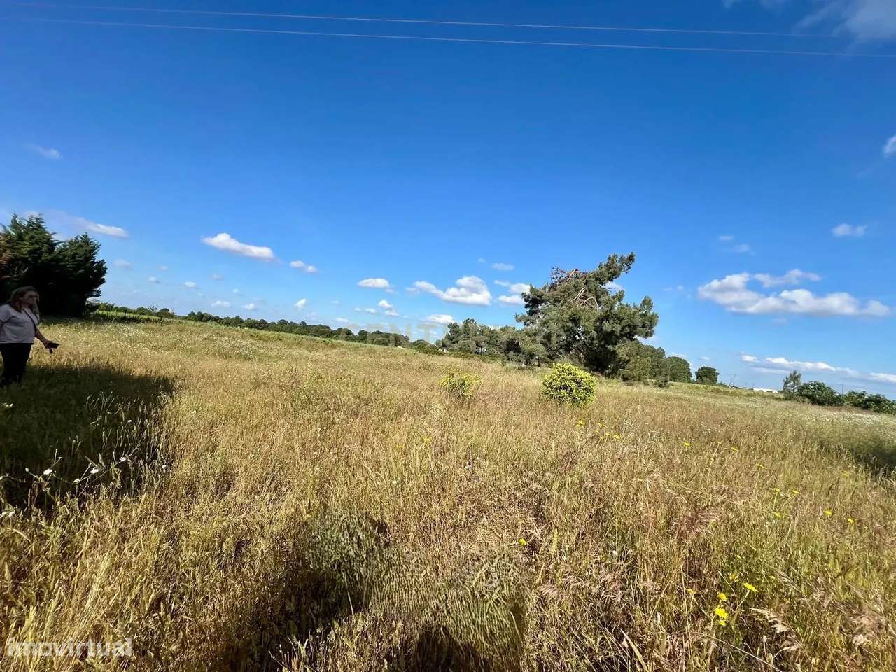 Terreno Rústico em Palmela, com Água e Eletricidade - 6000m² - Grande imagem: 4/10