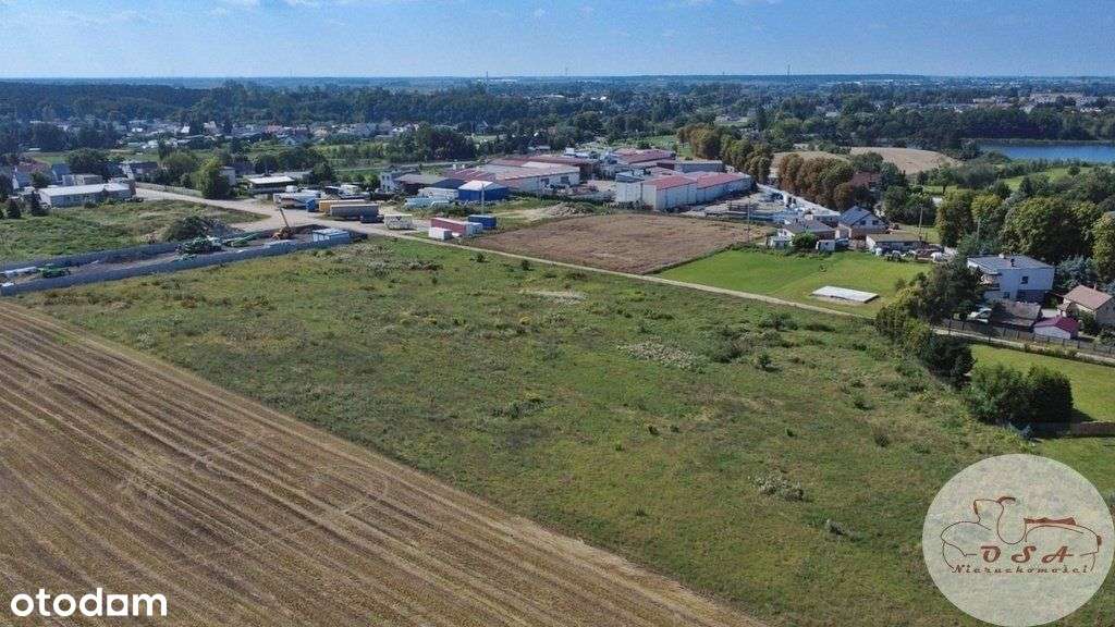 Działka z Mpzp 0,8 ha Dębienko k. Stęszewa-0