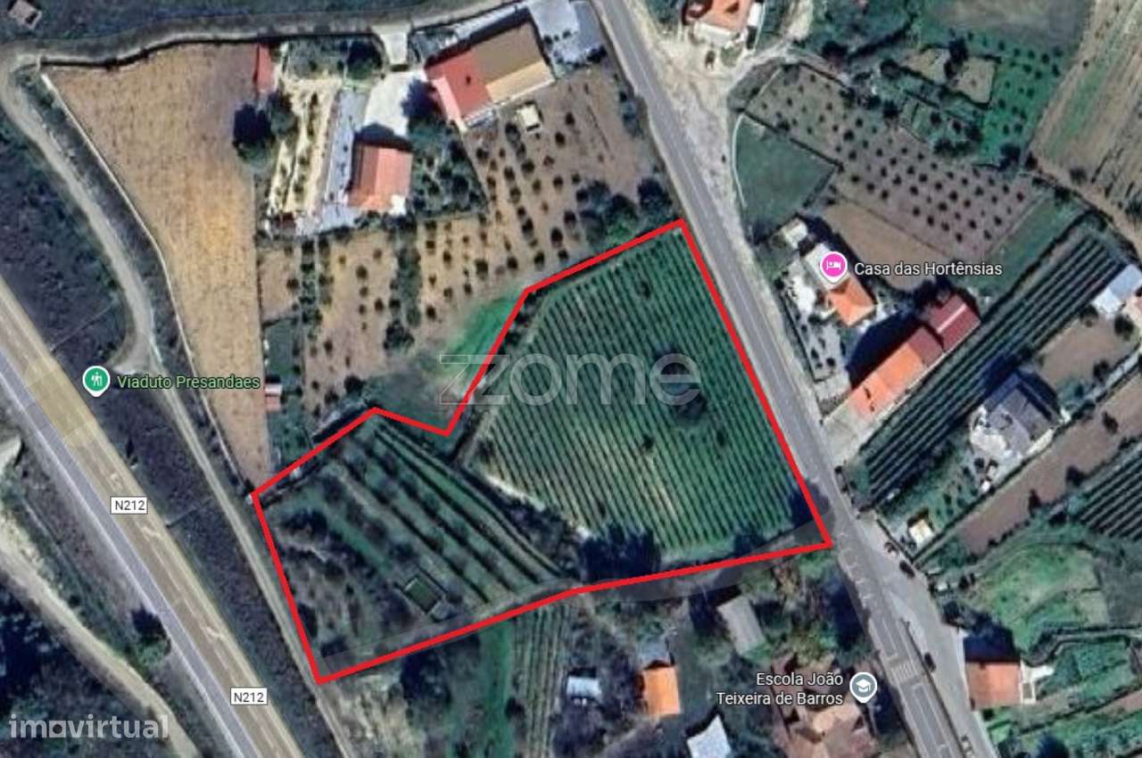 Terreno Rústico Urbanizavel – Presandães, Alijó-10