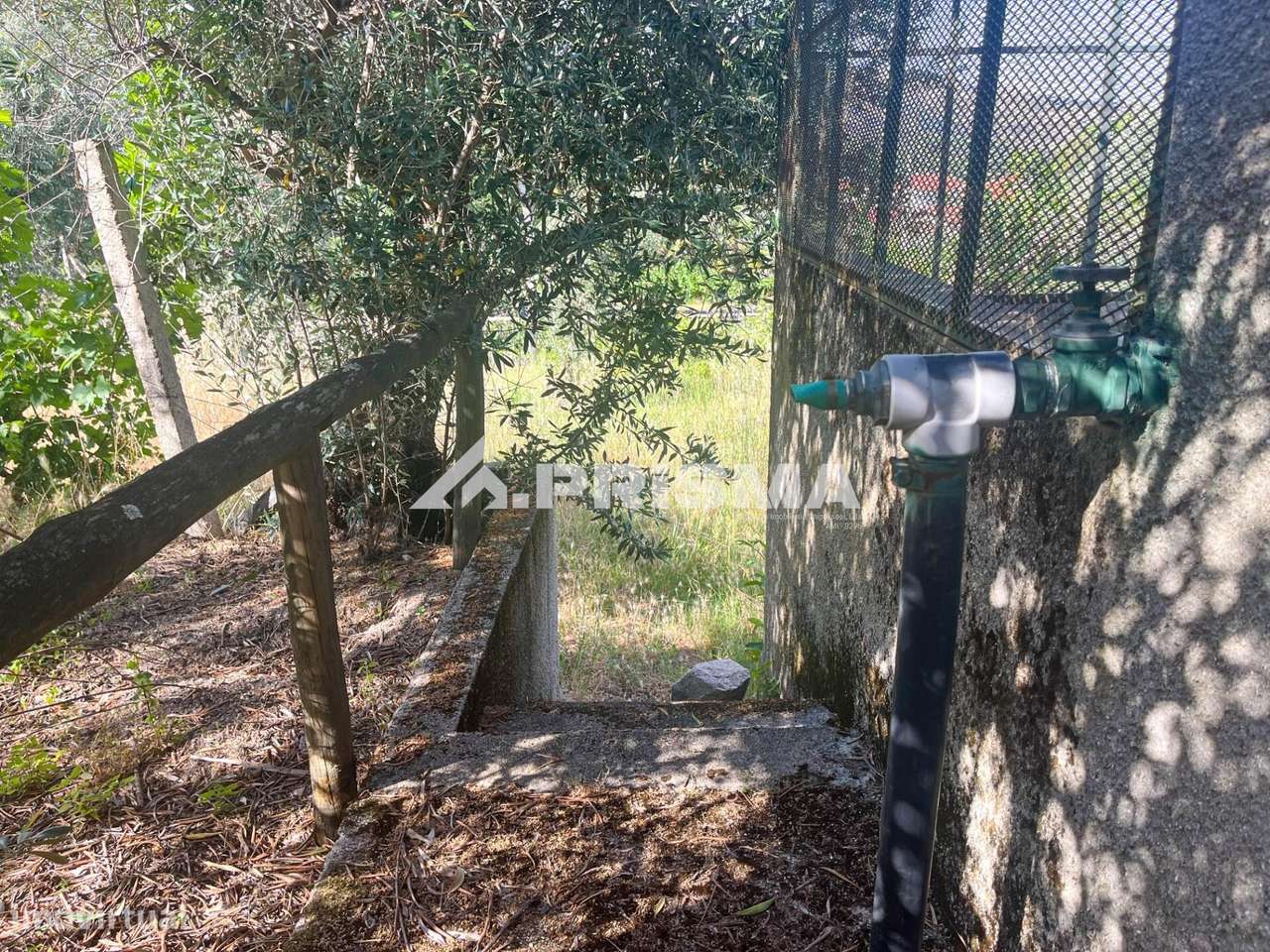 Quintinha para venda em Louriçal do Campo, Castelo Branco-25