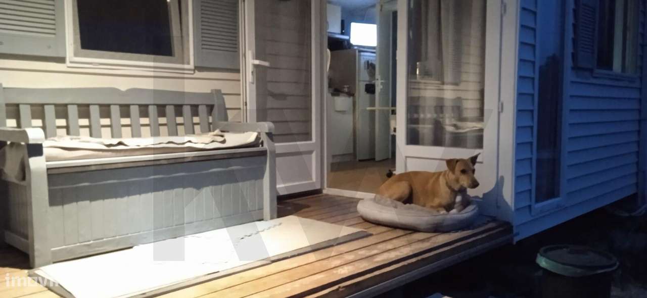 Terreno Urbano  de 4.000m2, Pontevel, Cartaxo-16