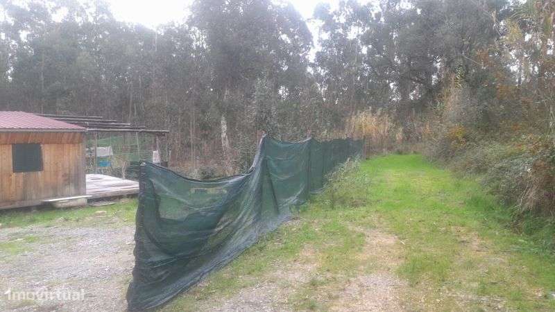 Vendo uma  terreno com uma casa com rodas - Grande imagem: 5/12