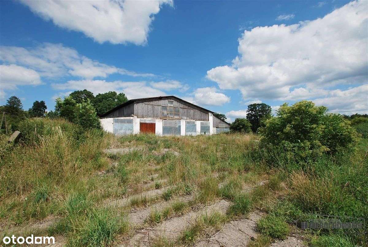 Nieruchomość zabudowana oborą blisko Białego Boru - Pełny obrazek: 4/20