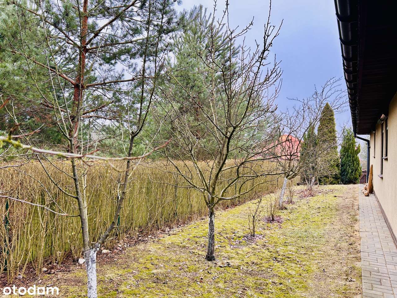 Piękny dom z duszą Wilczynie I parterowy I 4 pokoje I ogród I garaż-18