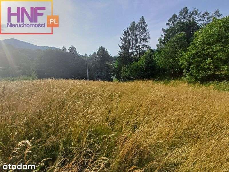 Działka w miejscowości Zubrzyk 26ar - Pełny obrazek: 4/15