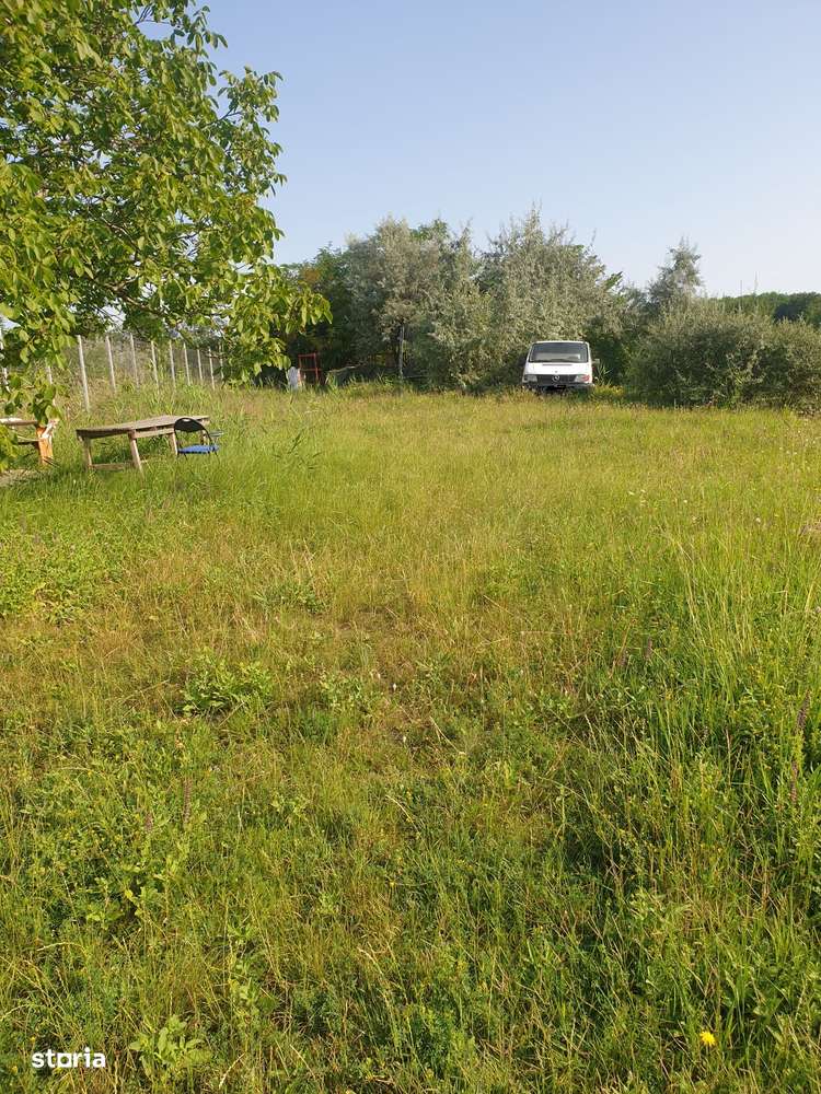 Teren intravilan IASI - COPOU - VITICULTORI -  in vecinatatea padurii-8