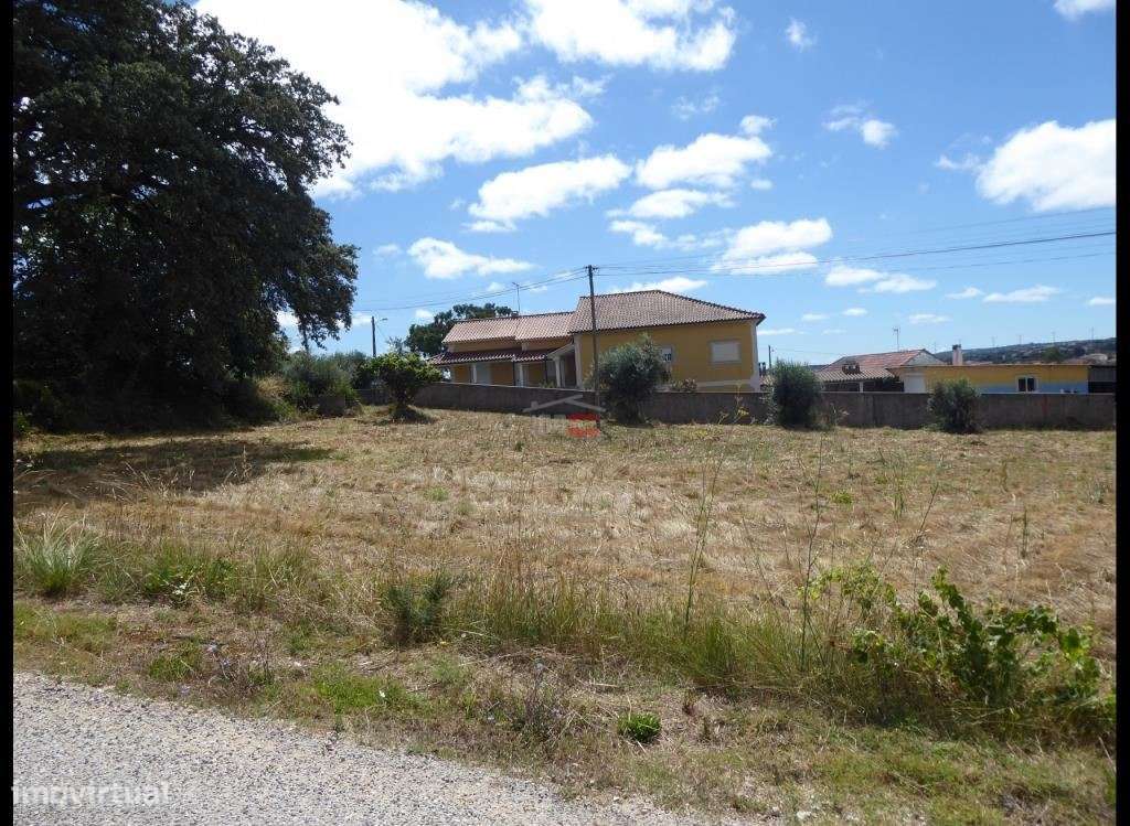 Terreno perto de Fátima - Grande imagem: 3/8
