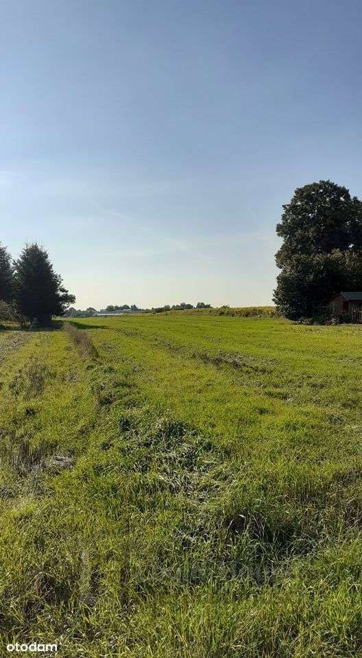 Działka, 2 843 m², Snopków - Pełny obrazek: 5/7