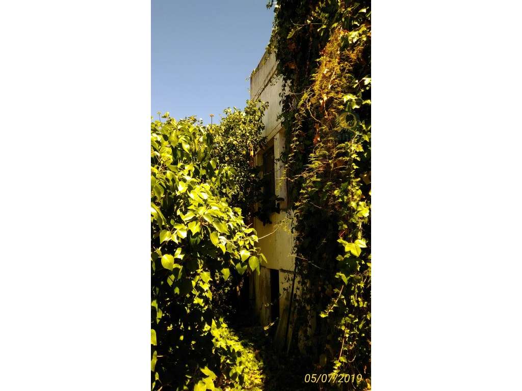 Moradia em terreno com 1200 m2 - Grande imagem: 4/7