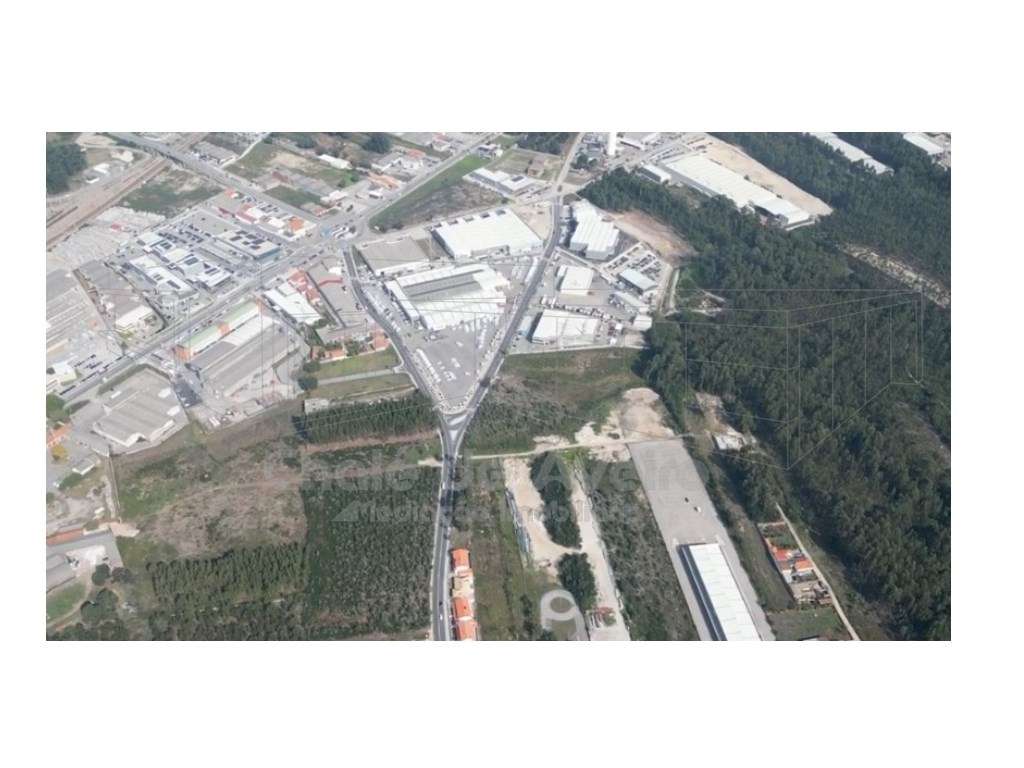 Armazém - Grande imagem: 4/5