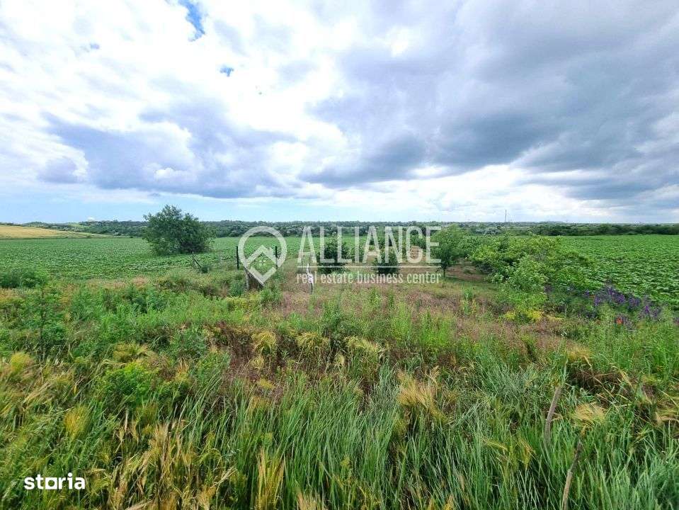 OVIDIU (COD 02)  - teren extravilan 4000 mp - Imagine principală: 3/6