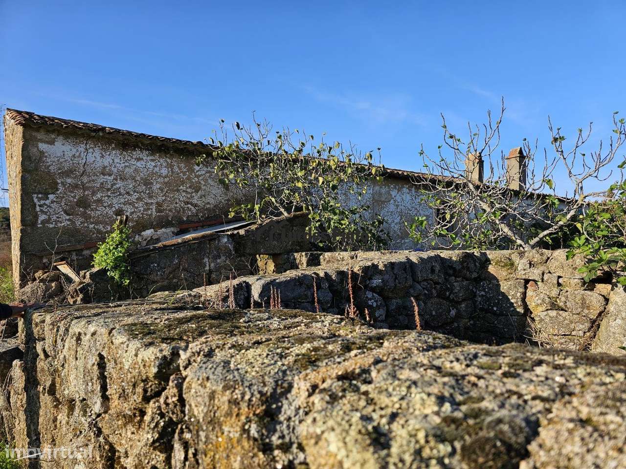 Quinta com casario em pedra - Grande imagem: 4/21